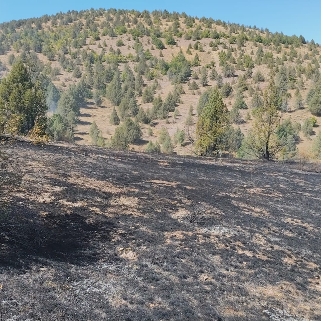 Alucra'da çıkan örtü yangını söndürüldü