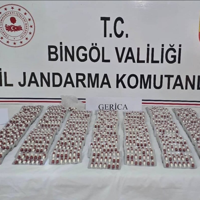 Bingöl'de uyuşturucu operasyonunda gözaltına alınan 2 şüpheli tutuklandı