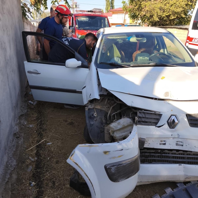 Iğdır'da direğe çarpan otomobildeki 3 kişi yaralandı