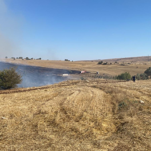 Çorum'da çıkan orman yangınına müdahale ediliyor
