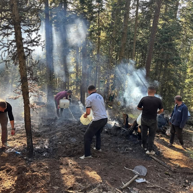 Kastamonu'da çıkan orman yangını söndürüldü