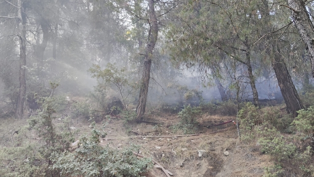 Balıkesir'de ormanlık alanda çıkan yangın söndürüldü