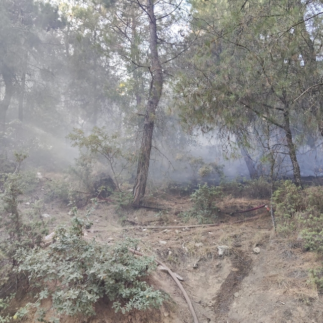 Balıkesir'de ormanlık alanda çıkan yangın söndürüldü