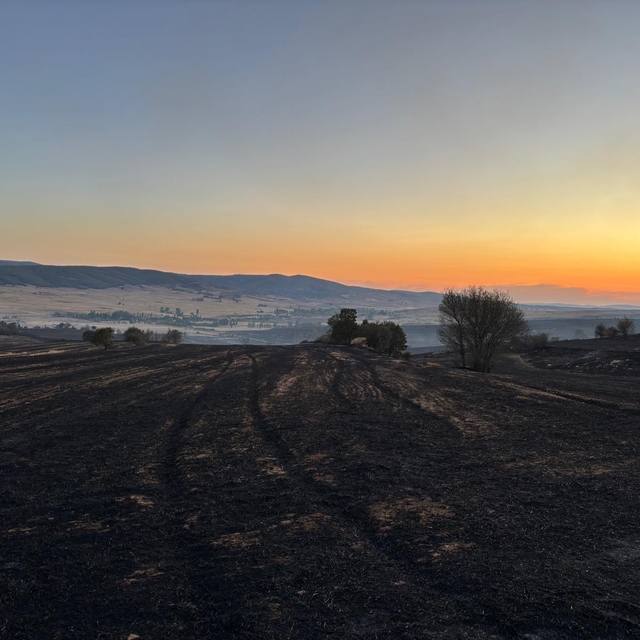 GÜNCELLEME - Çorum'da çıkan orman yangınına müdahale ediliyor