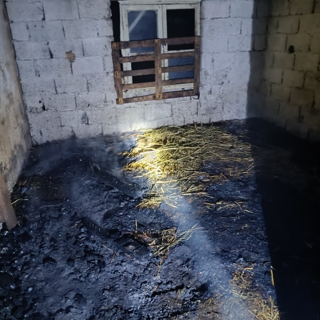 Adana'da ahırda çıkan yangında 7 küçükbaş telef oldu