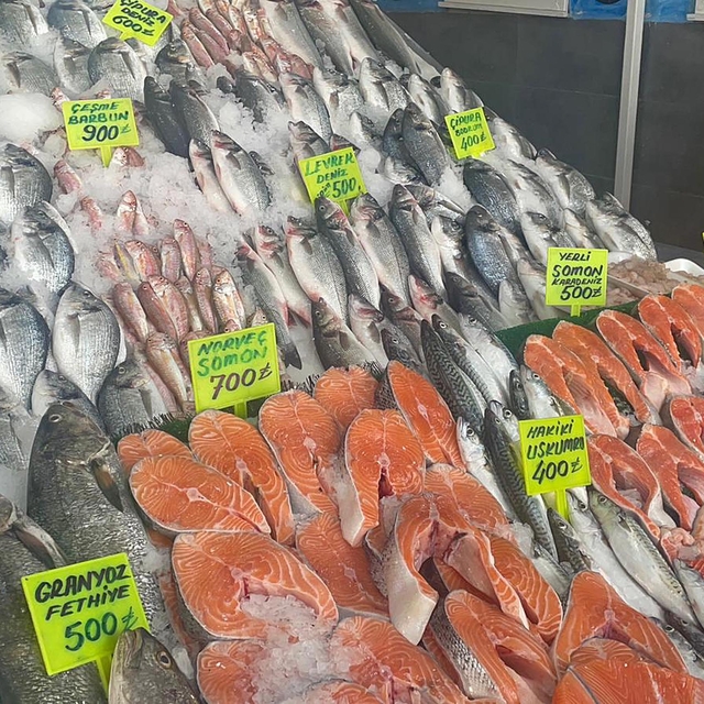 Ege'de balık bereketi; lüfer bile ağlara takıldı