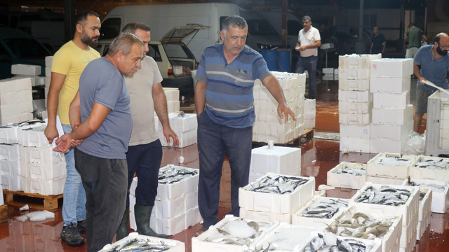 Akdeniz'de av yasağı kalktı; 1 kilo fiyatına 1 kasa balık
