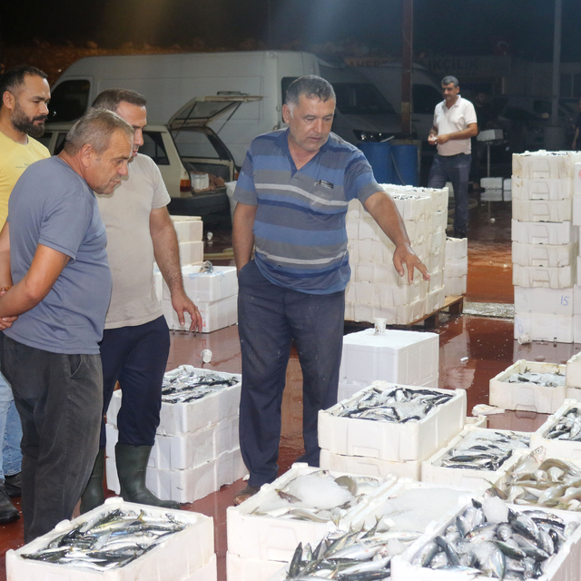 Akdeniz'de av yasağı kalktı; 1 kilo fiyatına 1 kasa balık
