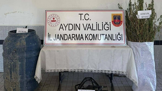 Ormanda Hint keneviri yetiştiren 5 şüpheliye gözaltı