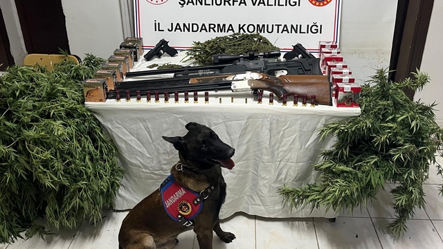 Şanlıurfa'da uyuşturucu ve silah kaçakçılığı operasyonunda 3 şüpheli yakalandı