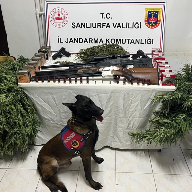 Şanlıurfa'da uyuşturucu ve silah kaçakçılığı operasyonunda 3 şüpheli yakala...