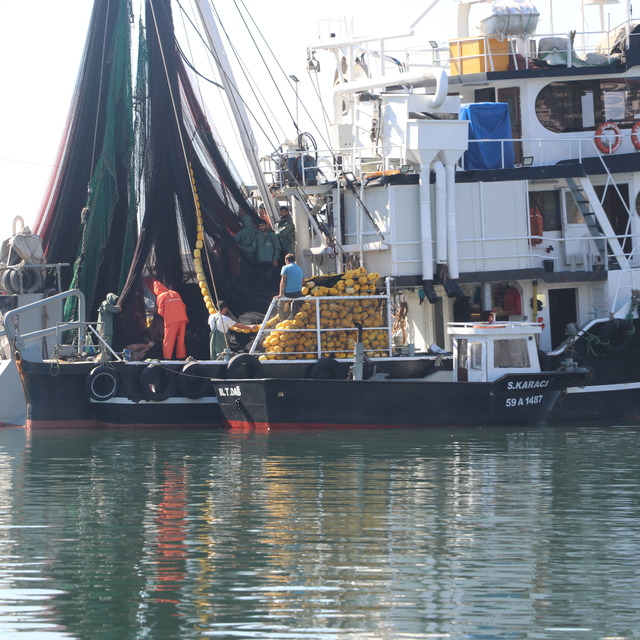 Tekirdağlı balıkçılar poyrazın etkisini yitirmesiyle yeniden denize açıldı