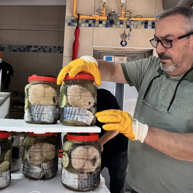 Sinop'ta coğrafi işaretli lakerdalar tezgahlardaki yerini aldı