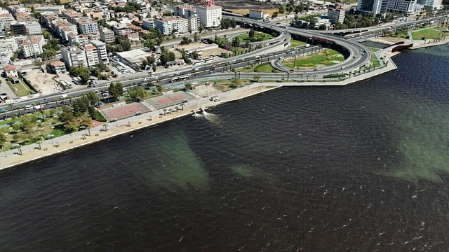 İzmir Körfezi'nde kirlilik ve kötü koku sürüyor