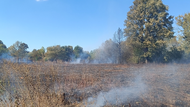 Pazaryeri'nde çıkan arazi yangını söndürüldü