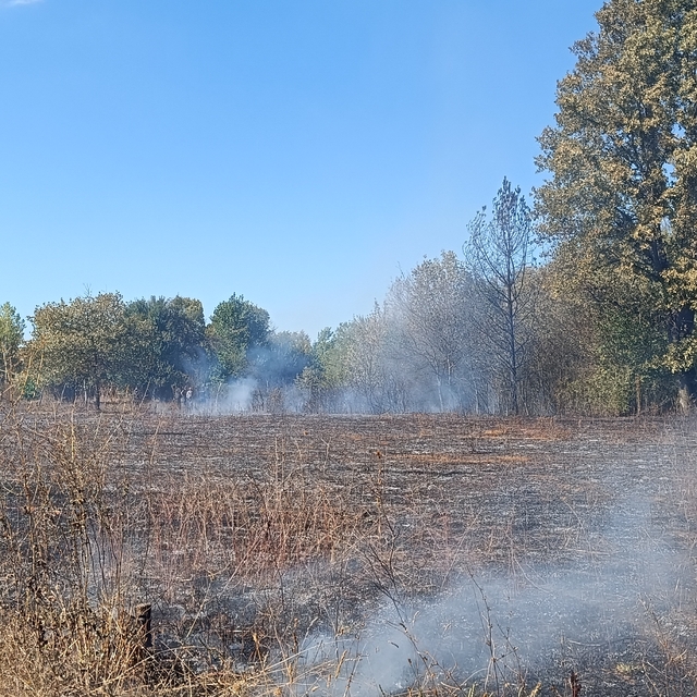 Pazaryeri'nde çıkan arazi yangını söndürüldü