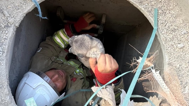 Antakya'da gider borusuna düşen köpek yavrusunu itfaiye ekibi çıkardı