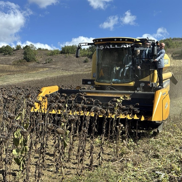 Yerli ve milli hibrit ayçiçeği, Kocaeli'nde hasat edildi