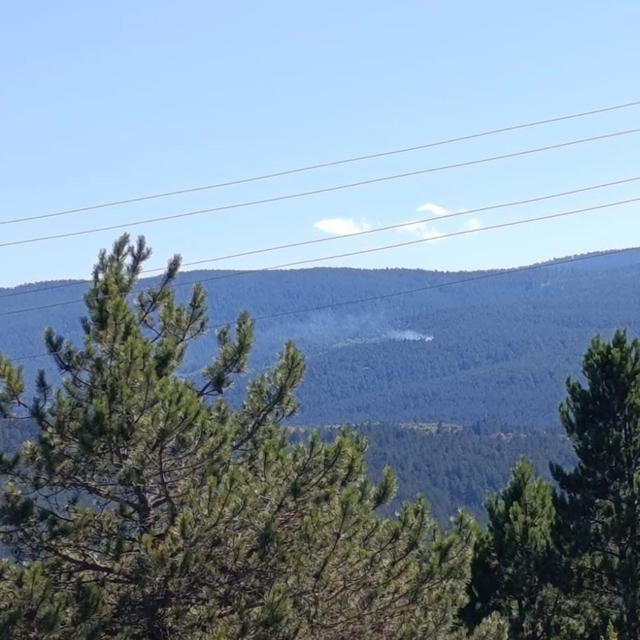 Kastamonu'da çıkan orman yangını söndürüldü