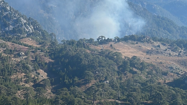 Köyceğiz'de çıkan orman yangınına müdahale ediliyor