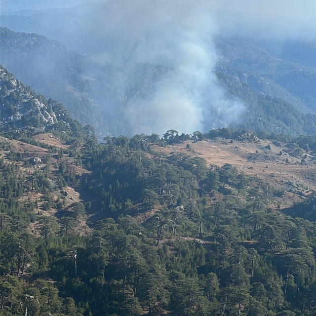 Köyceğiz'de çıkan orman yangınına müdahale ediliyor