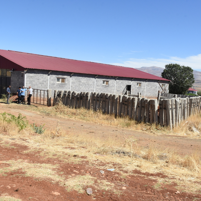 Malatya'da besicilere 2 bin 932 damızlık büyükbaş hayvan verilecek