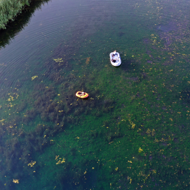 Kuşların Ağrı Dağı eteğindeki yuvası Karasu bataklığa dönüşme tehlikesi alt...