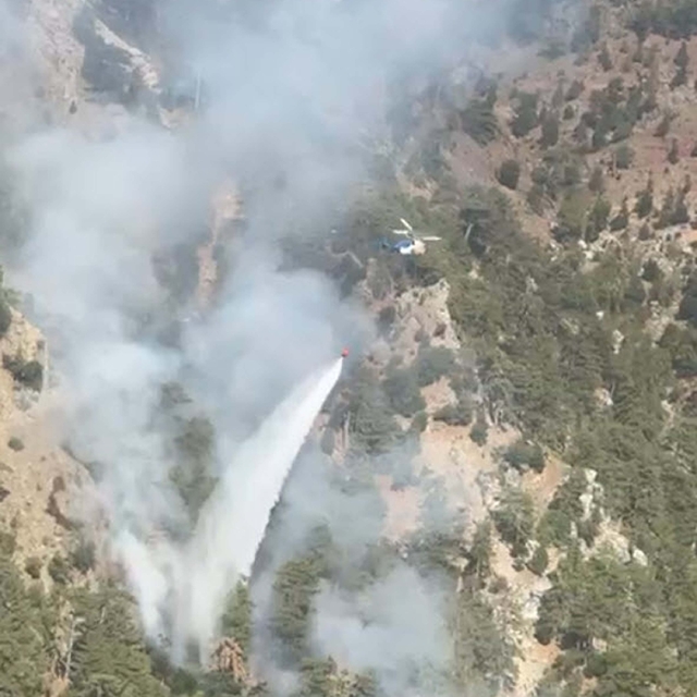 Muğla'da orman yangını