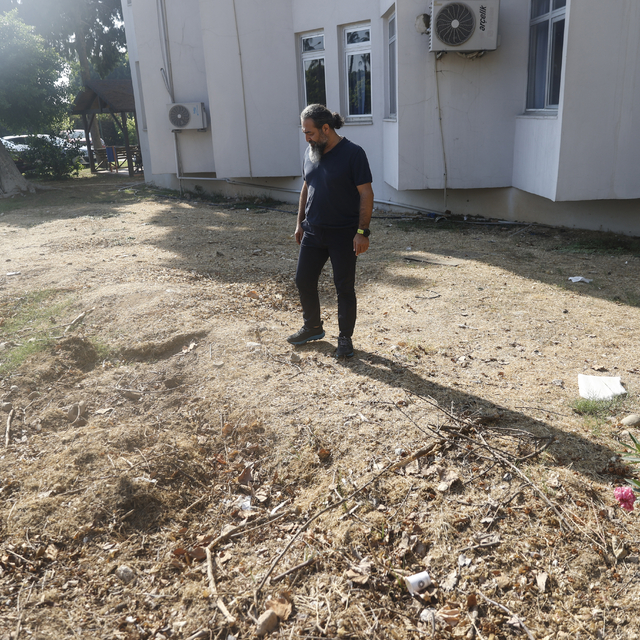 Mersin'de 4 yıl önce gömülen Fin balinasının iskeleti bilimsel çalışma için...