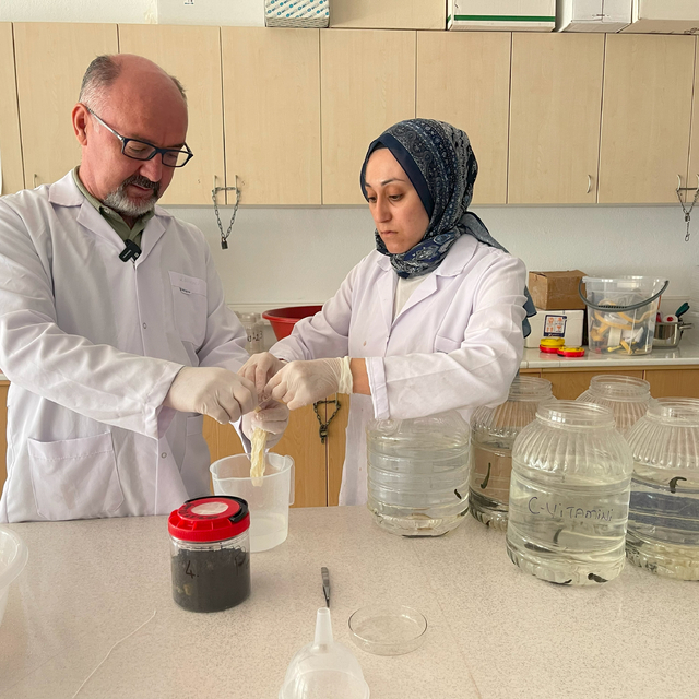 Türkiye ve Özbekistan arasında tıbbi sülük yetiştiriciliği için işbirliği