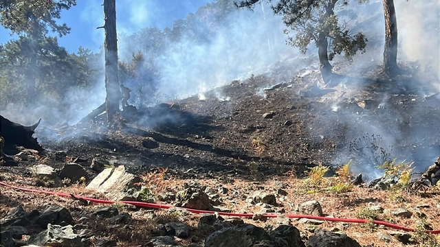 Muğla'da orman yangını (2)
