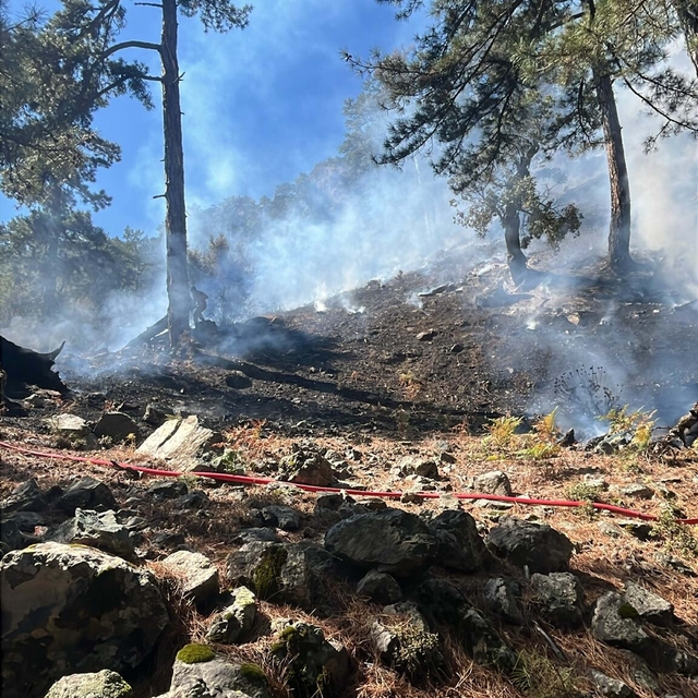 Muğla'da orman yangını (2)