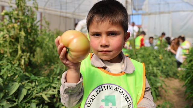 Bayburt'ta özel öğrenciler okul bahçesinde yetiştirilen sebzeleri hasat etti