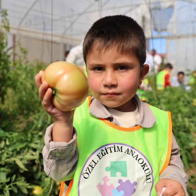 Bayburt'ta özel öğrenciler okul bahçesinde yetiştirilen sebzeleri hasat ett...