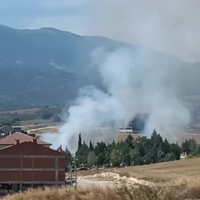 Bursa'da anız yangını; 30 dönümlük alan zarar gördü