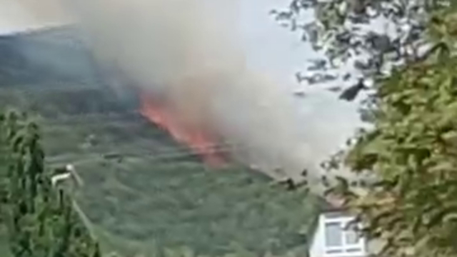 Kocaeli'de orman yangını