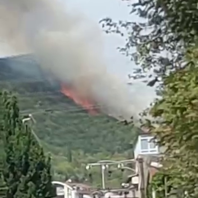 Kocaeli'de orman yangını