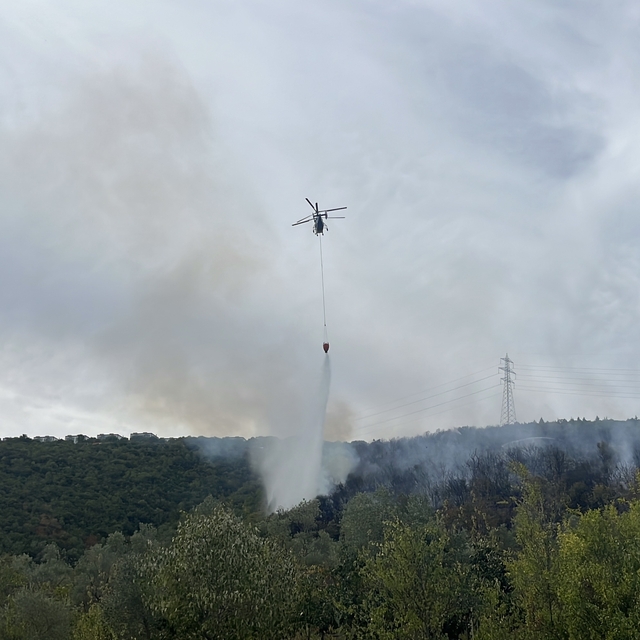 Kocaeli'deki orman yangını kontrol altında (2)