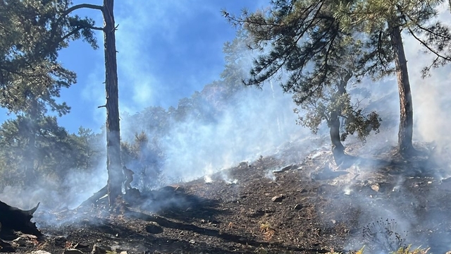 GÜNCELLEME - Köyceğiz'deki orman yangını kontrol altına alındı