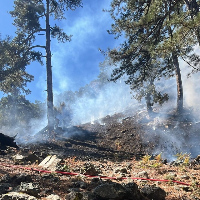 GÜNCELLEME - Köyceğiz'deki orman yangını kontrol altına alındı