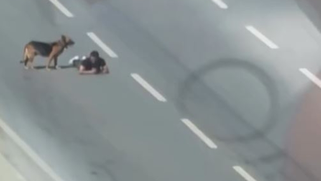 Samsun'da bir kişi, ana yolun sağ şeridinde sürünerek ilerledi; o anlar kamerada