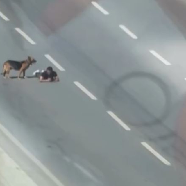 Samsun'da bir kişi, ana yolun sağ şeridinde sürünerek ilerledi; o anlar kam...