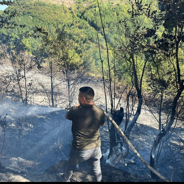 Kastamonu'da çıkan yangın ormanlık alana sıçramadan söndürüldü