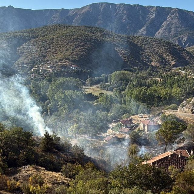 Kargı'da ormanlık alanda çıkan yangın söndürüldü