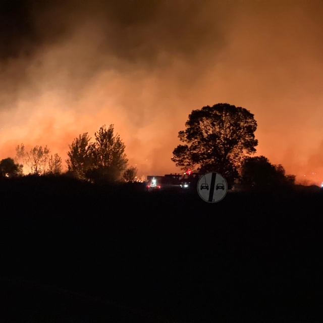 Edirne'de buğday tarlasındaki yangın, ormana sıçramadan söndürüldü
