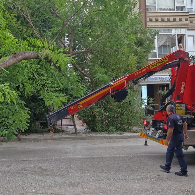 Samsun'da kökünden kopan ağaç otomobilin üzerine devrildi