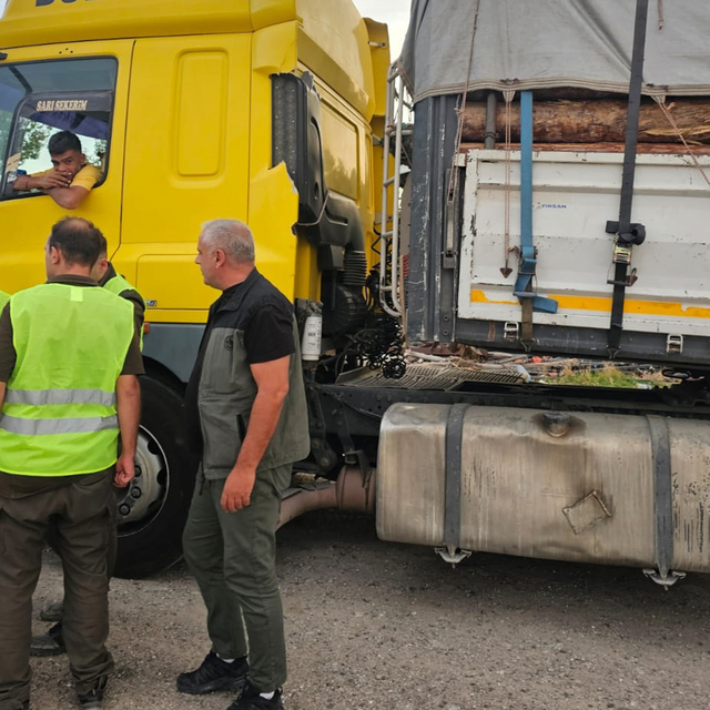 Beypazarı'nda Orman İşletme Müdürlüğü ekipleri denetim yaptı