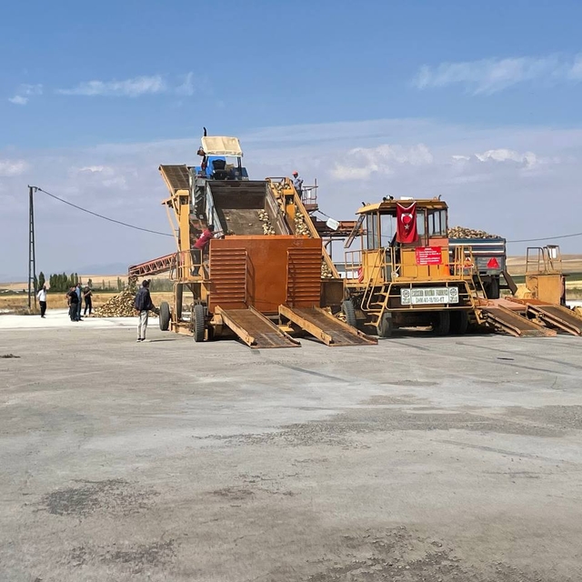 Malazgirt'te şeker pancarı alımı başladı