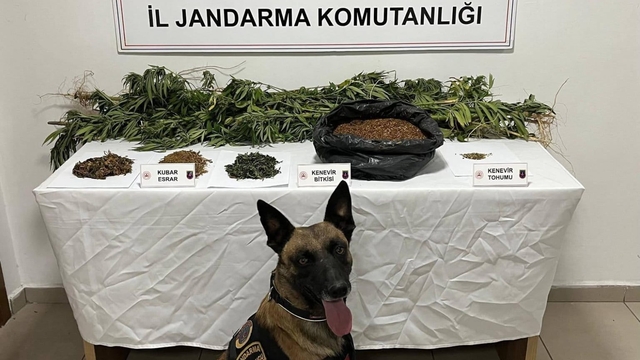 Afyonkarahisar'da uyuşturucu operasyonlarında yakalanan 4 zanlı tutuklandı