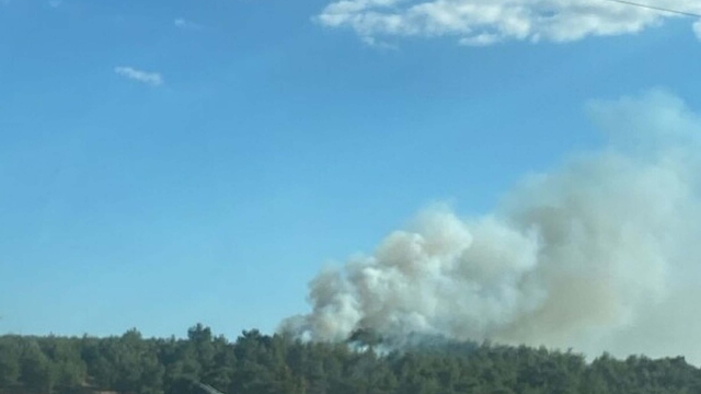 Çanakkale'de orman yangını